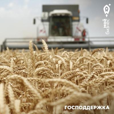 в 2020 г заключено 54 договора поручительства с сельскохозяйственными предприятиями Алтайского края 
