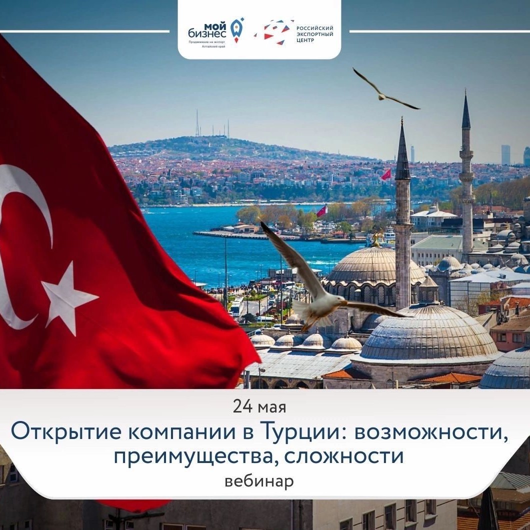 Открытие компании в Турции: возможности, преимущества, сложности