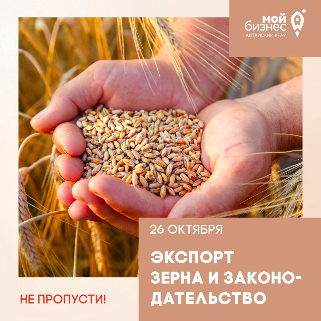 Семинар «ФГИС «Зерно».  Актуальные вопросы в законодательстве зернового экспорта»